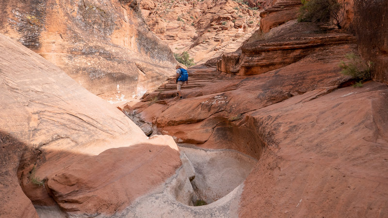 Red Reef Trail