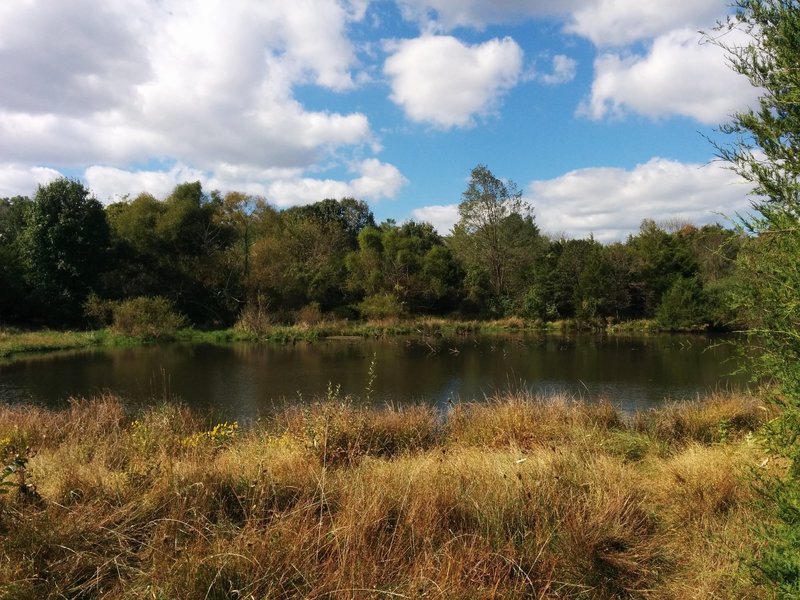 Pond along Potomac Heritage Trail in Bles Park