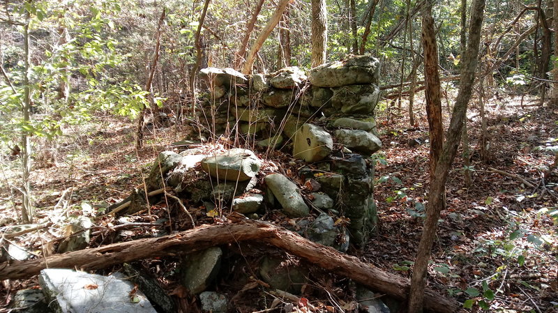 Remains of an old chimney about .2 miles inside park boundary on south side of Heiskell Hollow trail