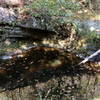 Perhaps a good swimming hole during higher water periods on East Fork Dry Run