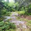 Rock outcroppings intermittently guide you along the Locator Lake trail.