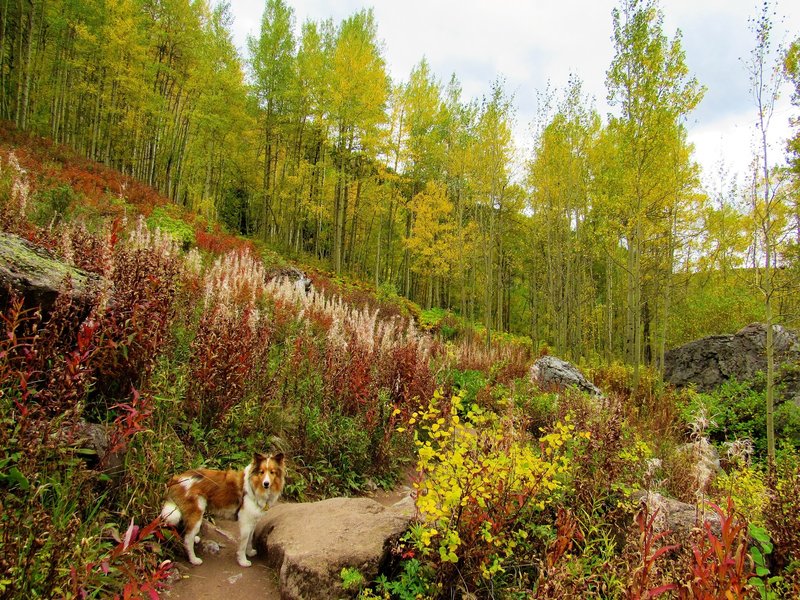 bounty of fall