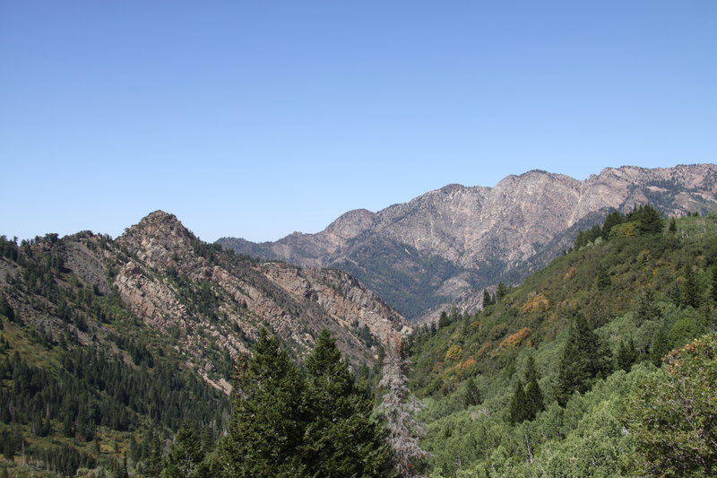 View of the canyon.