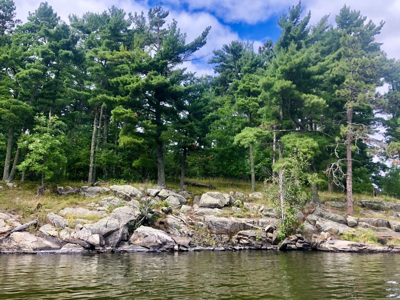 A typical shoreline in Voyageurs National Park.