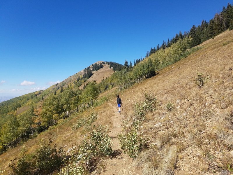 Hiking up to the knob