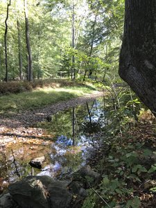 The trail follows the Quantico Creek