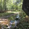 The trail follows the Quantico Creek