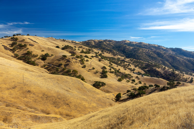 View from the northeastern boundary of Del Valle Regional Park