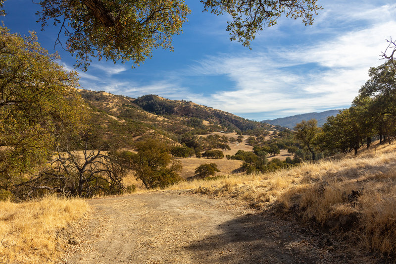 One of the hill to the side of Cedar Creek Trail