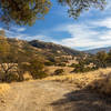 One of the hill to the side of Cedar Creek Trail