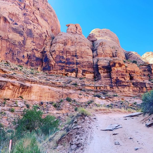 Pritchett Canyon is easy to navigate, a 4x4 road the entire way. Sand, boulders, and a little climbing at the end.