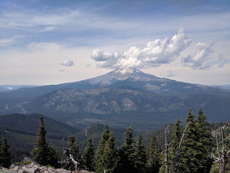 view from the lookout tower's foundation