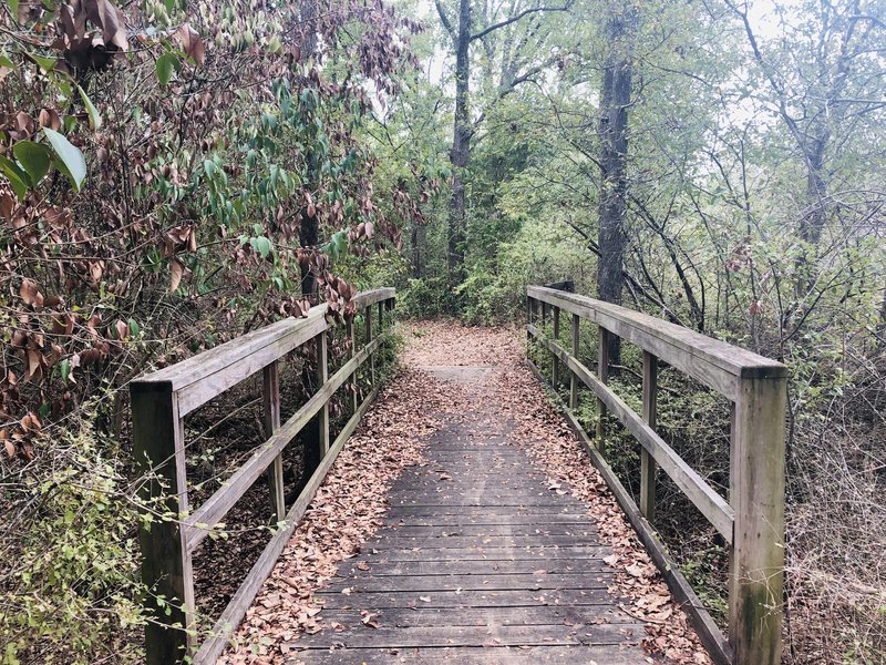 Bridge on Buzzard Point Loop Trail