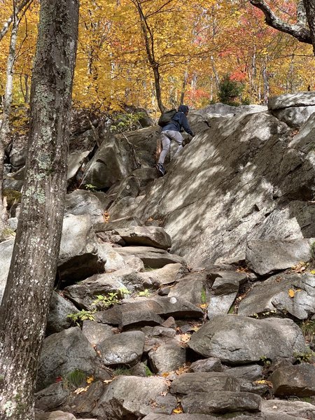 Hiking white dot trail in Mt.Monadnock, NH. Steep and Rocky condition