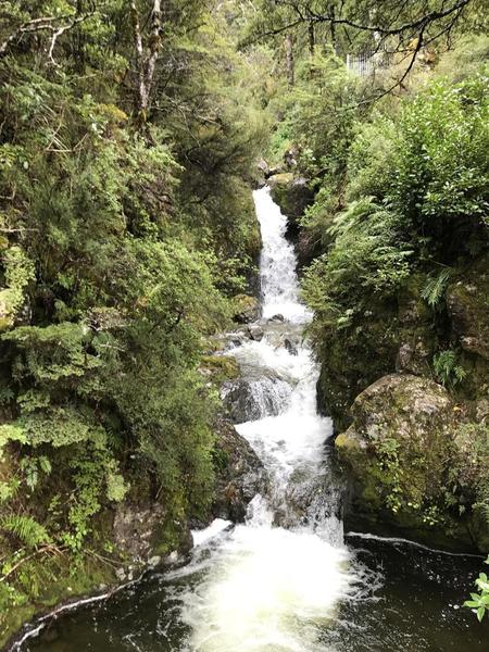 Small waterfall at the beginning of the trail