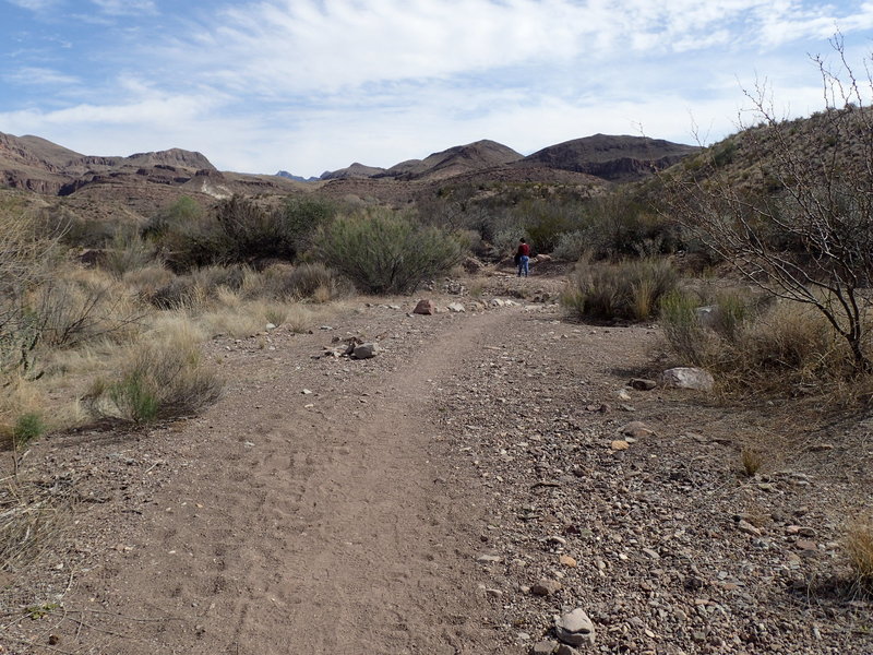 Mules Ears Trail