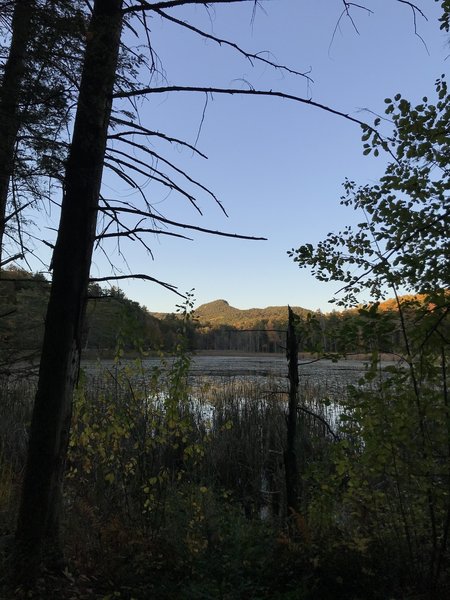 Monument Mountain through a window of trees.