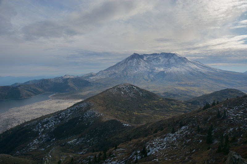 A flotilla of logs on Spirit Lake, Harry's Ridge, and Mount Saint Helens