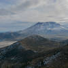 A flotilla of logs on Spirit Lake, Harry's Ridge, and Mount Saint Helens