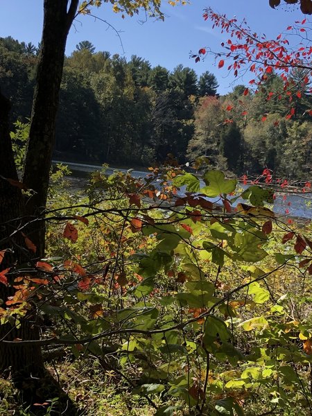 Fall lake view