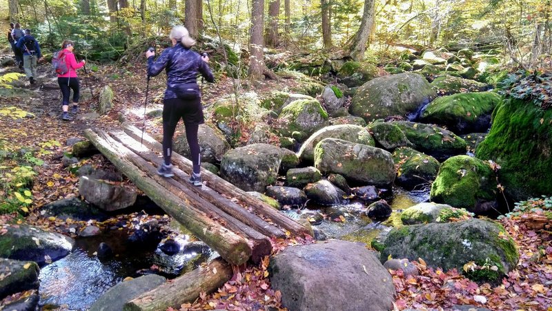 Another bridge on the way up Ampersand Mountain Trail