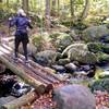 Another bridge on the way up Ampersand Mountain Trail