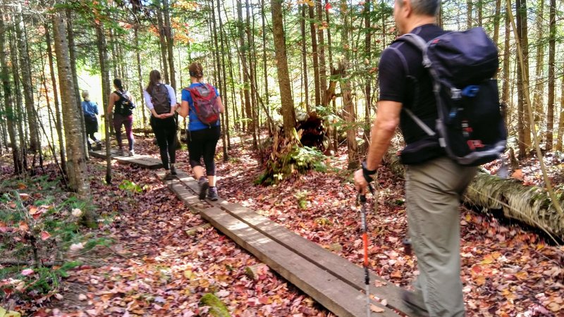 Another bridge on the Hurricane Mountain Trail