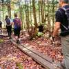 Another bridge on the Hurricane Mountain Trail