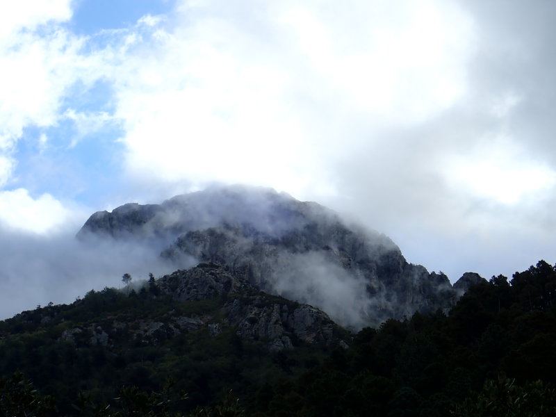 The peak of Mt. Wrightson as seen from the #134 Super Trail