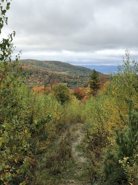 View from Reed Road Trail