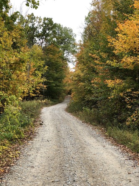 Reed Road Trail Begins on a Gravel Road