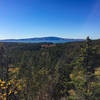 View of Cadillac Mountain from Anvil Overlook.