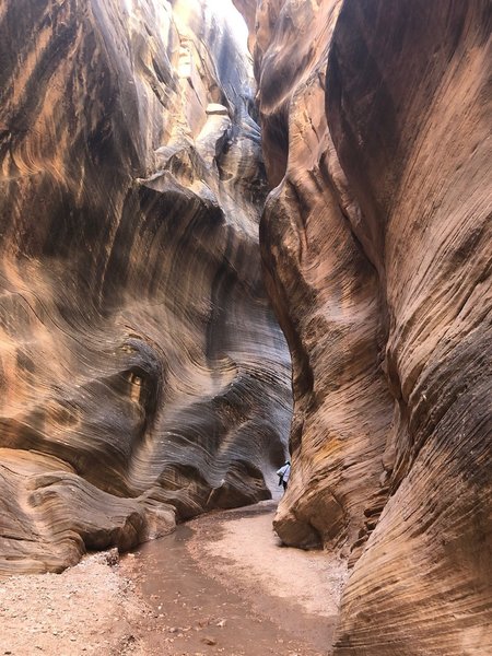 Shot of one of the narrow passages on the Willis Creek Trail. Be absolutely sure there have been no rains in the local area before doing this trail.