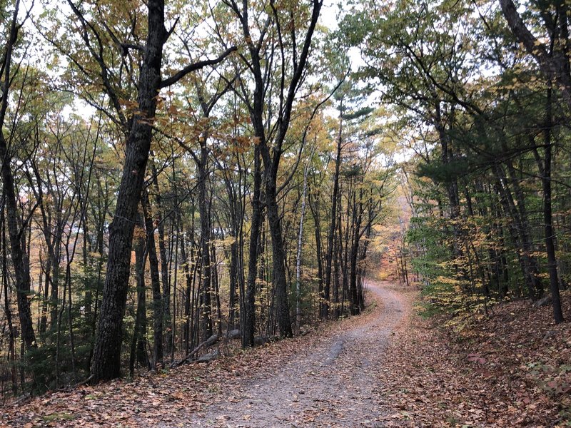 Tower Hill Pond Loop Trail.