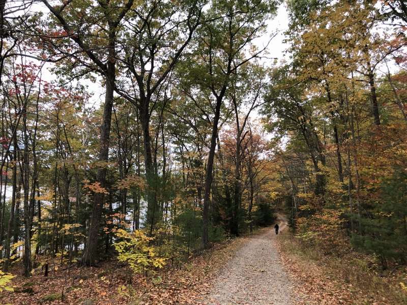 Tower Hill Pond Loop Trail