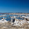 Salt rock formations on the western shore of Mono Lake.