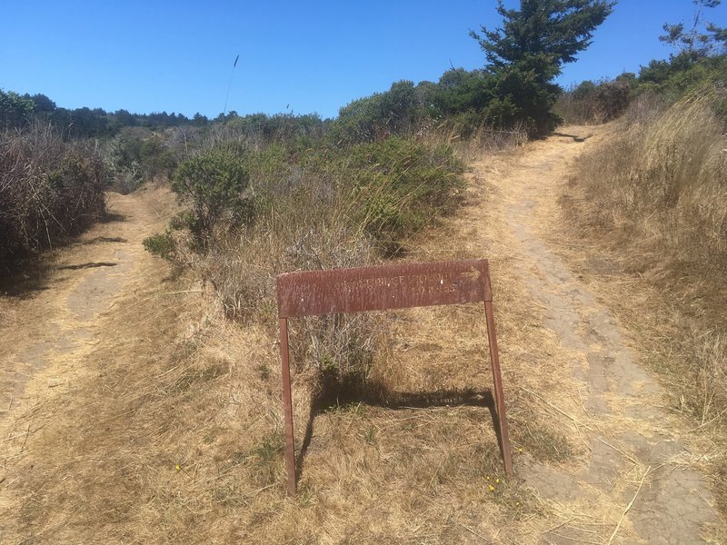 Ohlone Ridge Lookout Loop