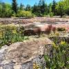 Arabia Mountain