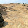 Arabia Mountain