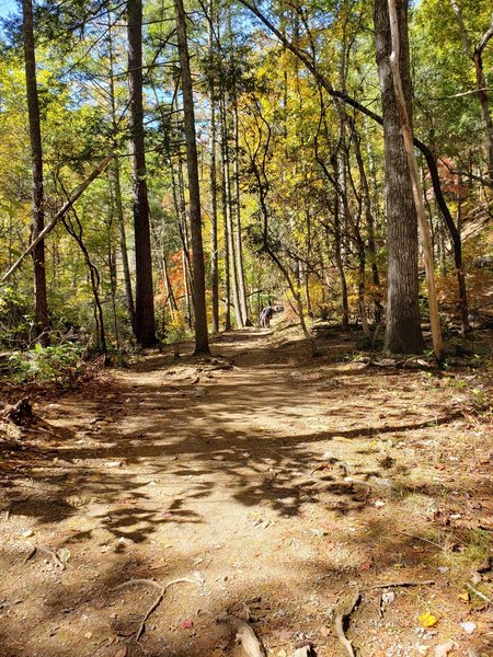 Start of the trail! Heavily trafficked, nicely maintained.