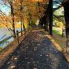 Paved path as it parallels Pleasantville Road