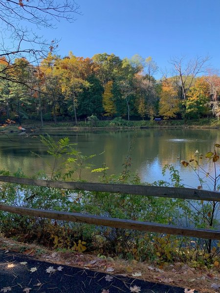 The view across the reservoir in Wishnie Park