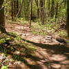 The start of House Rock Trail