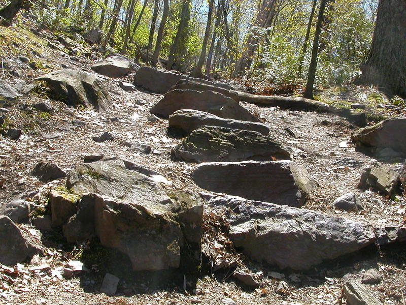 Steps on Devil's Chair Trail