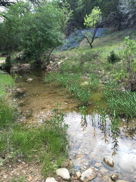 Nice little creek crossing on the trail.