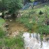 Nice little creek crossing on the trail.