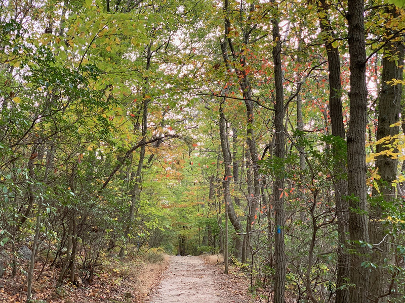 Blue Trail headed south