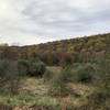 View from Pond Loop, Ramapo Reservation