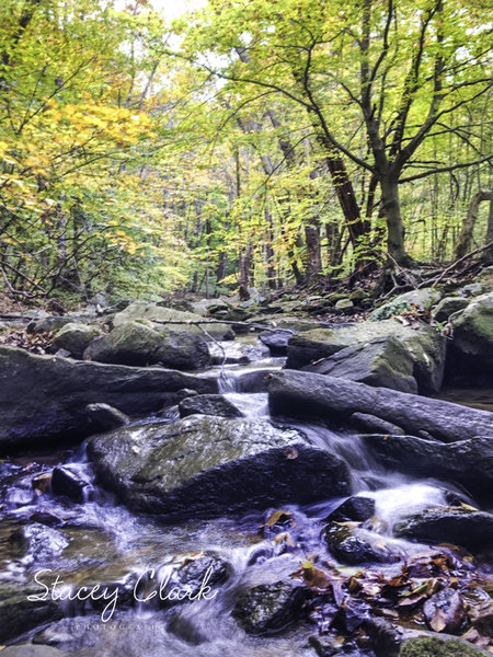 Susquehanna State Park