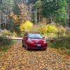 Parking at end of Dry Creek Service Road